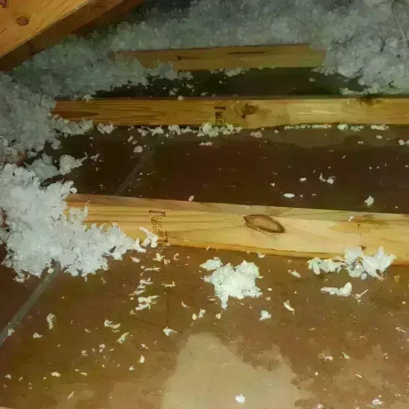 Attic Water Damage in Wilburton, OK