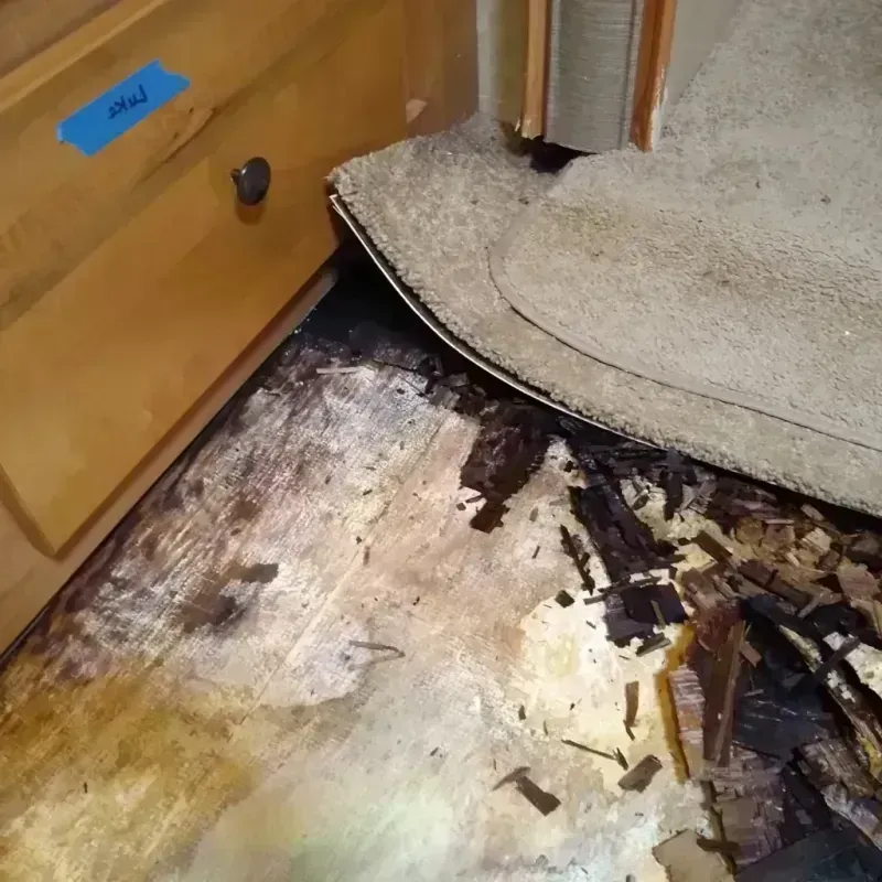 Best Wood Floor Water Damage Service in Wilburton, OK